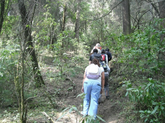 senderismo en el bosque